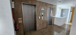 Golden Heights (D19), Apartment #480129121